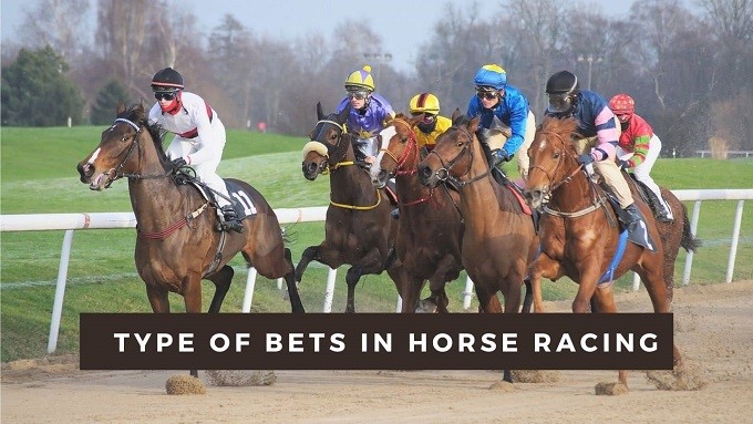 how to read horse racing odds
