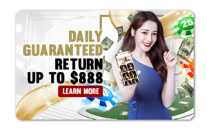 Read more about the article DAILY GUARANTEED RETURN UP TO $888