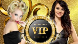 Read more about the article SG Online Casino: What are the casino VIP bonus rewards?