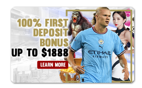 You are currently viewing 100% FIRST DEPOSIT BONUS UP TO $1888