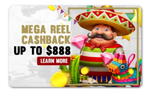 You are currently viewing MEGA REEL CASHBACK UP TO $888